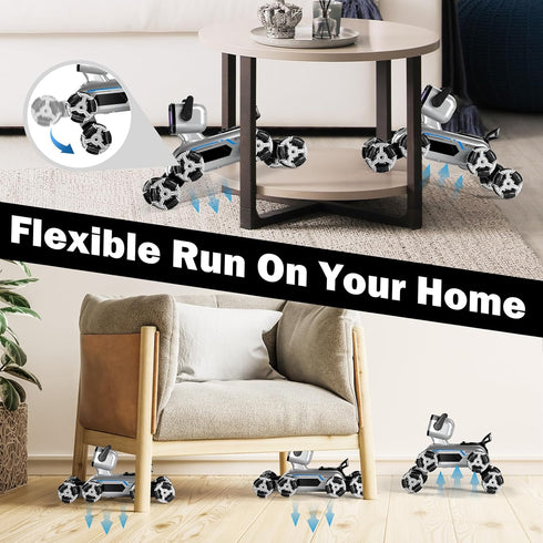 Remote & Watch Control Stunt Spray Robot Dog