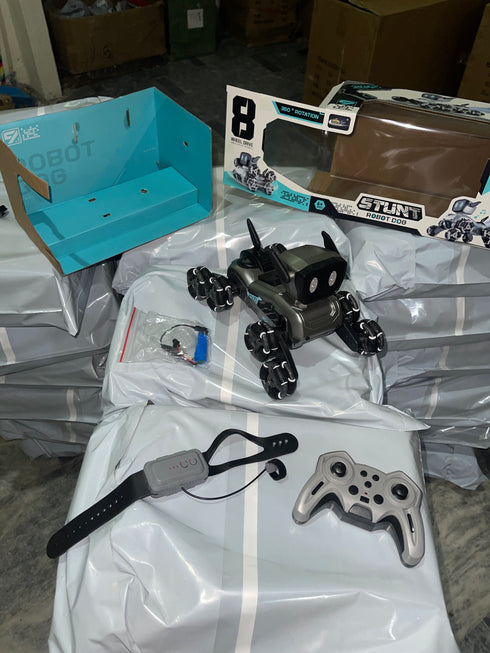 Remote & Watch Control Stunt Spray Robot Dog